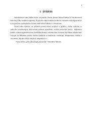 „Shell“ įmonės etikos kodeksas 3 puslapis