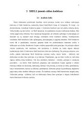 „Shell“ įmonės etikos kodeksas 5 puslapis