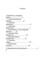 Bendrovių steigimo būdai, kapitalas ir steigimo dokumentai 2 puslapis