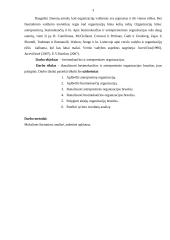 Besimokančios ir antrepreninės organizacijos 2 puslapis