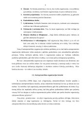 Besimokančios ir antrepreninės organizacijos 5 puslapis