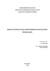 Besivystančių šalių ekonominės ir socialinės problemos
