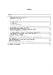 Besivystančių šalių ekonominės ir socialinės problemos 2 puslapis