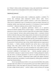 Besivystančių šalių ekonominės ir socialinės problemos 16 puslapis