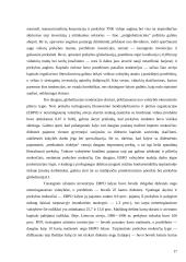 Besivystančių šalių ekonominės ir socialinės problemos 17 puslapis