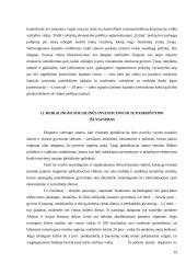 Besivystančių šalių ekonominės ir socialinės problemos 19 puslapis