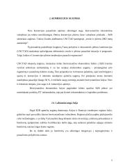 Besivystančių šalių ekonominės ir socialinės problemos 5 puslapis