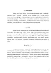 Besivystančių šalių ekonominės ir socialinės problemos 6 puslapis