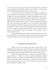 Besivystančių šalių ekonominės ir socialinės problemos 10 puslapis