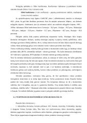 Besivystančių šalių problemos pasaulio ekonomikoje 2 puslapis