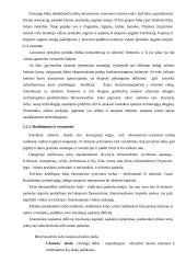 Besivystančių šalių problemos pasaulio ekonomikoje 11 puslapis