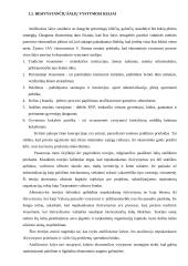 Besivystančių šalių problemos pasaulio ekonomikoje 8 puslapis