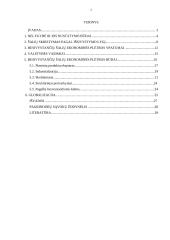 Besivystančių šalių problemos globalioje ekonomikoje 2 puslapis