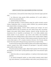 Besivystančių šalių problemos globalioje ekonomikoje 13 puslapis
