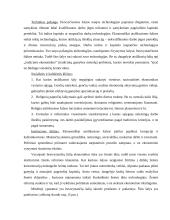 Besivystančių šalių problemos globalioje ekonomikoje 15 puslapis