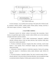 Besivystančių šalių problemos globalioje ekonomikoje 16 puslapis