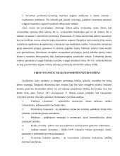 Besivystančių šalių problemos globalioje ekonomikoje 17 puslapis