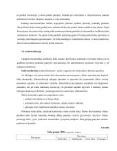 Besivystančių šalių problemos globalioje ekonomikoje 20 puslapis