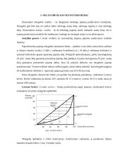 Besivystančių šalių problemos globalioje ekonomikoje 4 puslapis