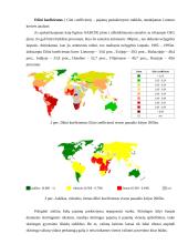 Besivystančių šalių problemos globalioje ekonomikoje 5 puslapis