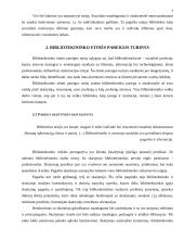 Bibliotekininko profesinė etika 4 puslapis