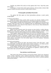 Bičių produktai 12 puslapis