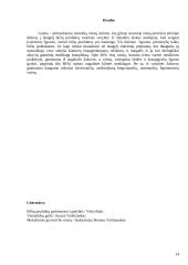 Bičių produktai 13 puslapis