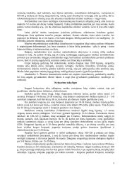 Bičių produktai 4 puslapis