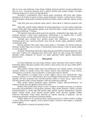 Bičių produktai 8 puslapis