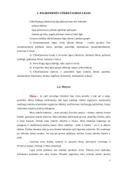 Biologinė aplinkos tarša ir svarbiausios infekcinės ligos 6 puslapis