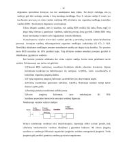 Biologinio vandens valymo mikrobiologiniai procesai 11 puslapis