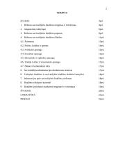 Birštono savivaldybės biudžeto formavimo ir vykdymo problemos 2 puslapis