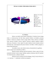 Birštono savivaldybės biudžeto formavimo ir vykdymo problemos 13 puslapis