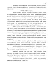 Birštono savivaldybės biudžeto formavimo ir vykdymo problemos 14 puslapis