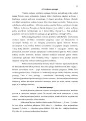 Birštono savivaldybės biudžeto formavimo ir vykdymo problemos 15 puslapis