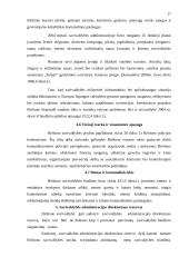 Birštono savivaldybės biudžeto formavimo ir vykdymo problemos 17 puslapis