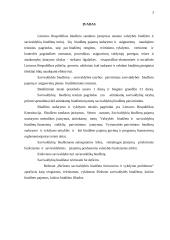 Birštono savivaldybės biudžeto formavimo ir vykdymo problemos 3 puslapis