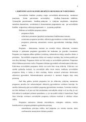 Birštono savivaldybės biudžeto formavimo ir vykdymo problemos 4 puslapis