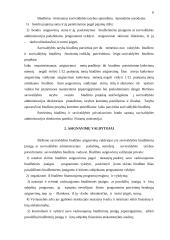 Birštono savivaldybės biudžeto formavimo ir vykdymo problemos 6 puslapis