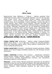 Bitininkystė bei bitės 5 puslapis