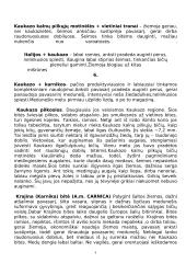 Bitininkystė bei bitės 6 puslapis