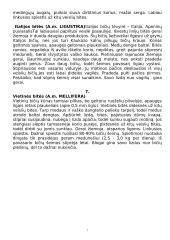 Bitininkystė bei bitės 7 puslapis
