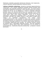 Bitininkystė bei bitės 9 puslapis