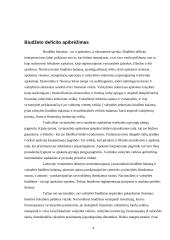 Biudžeto deficitas (referatas) 3 puslapis