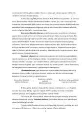 Biudžeto deficitas (referatas) 4 puslapis