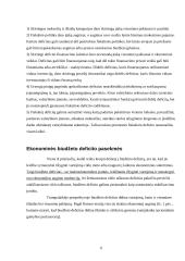 Biudžeto deficitas (referatas) 5 puslapis