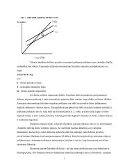 Biudžeto deficitas (referatas) 6 puslapis