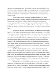 Biudžeto deficitas (referatas) 7 puslapis