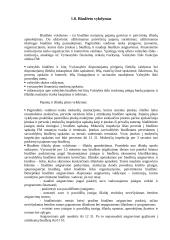 Biudžeto reforma 11 puslapis