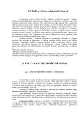 Biudžeto reforma 12 puslapis